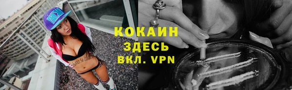 твердый Балахна