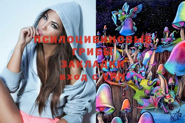 гидропоника Белоозёрский