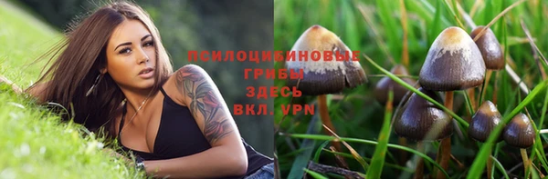 твердый Балахна