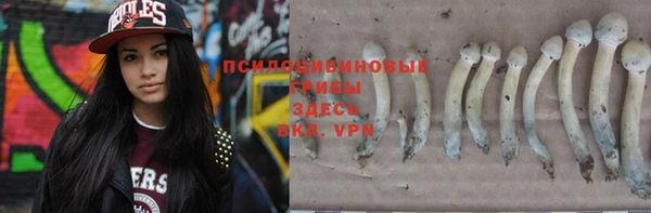 твердый Балахна